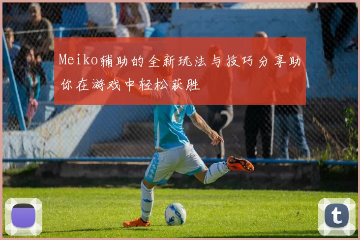 Meiko辅助的全新玩法与技巧分享助你在游戏中轻松获胜