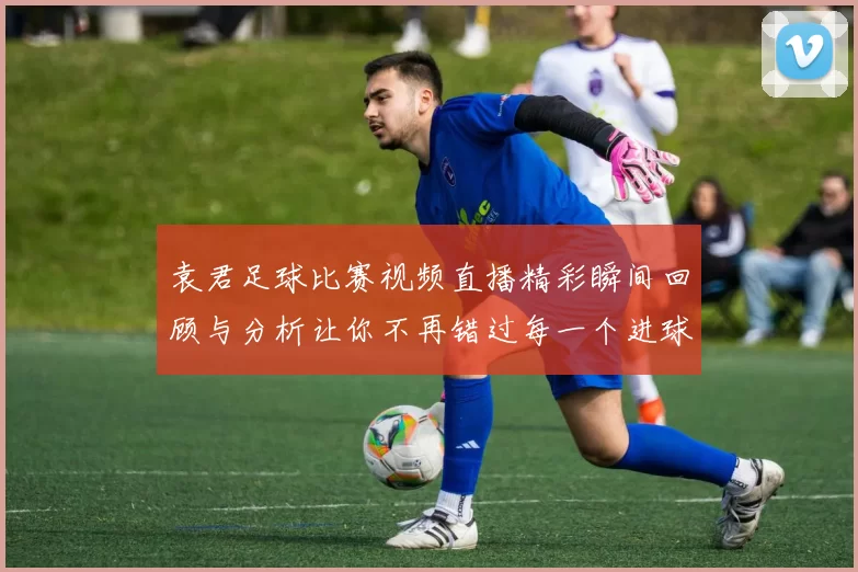 袁君足球比赛视频直播精彩瞬间回顾与分析让你不再错过每一个进球时刻