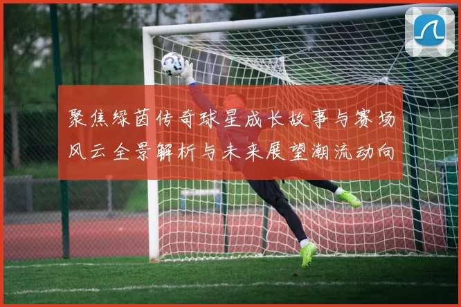 聚焦绿茵传奇球星成长故事与赛场风云全景解析与未来展望潮流动向