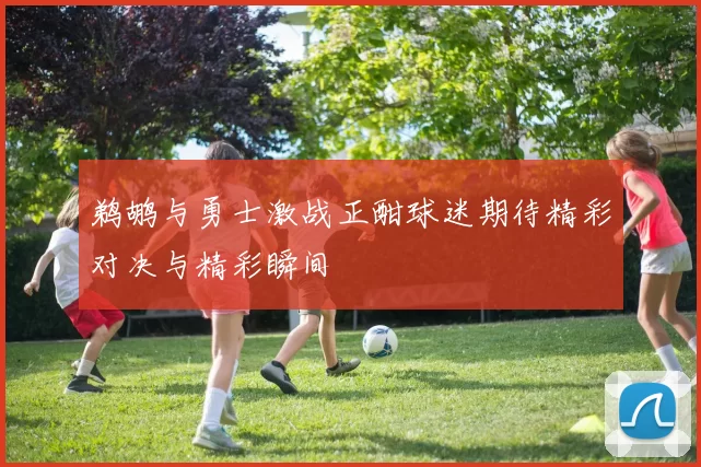 鹈鹕与勇士激战正酣球迷期待精彩对决与精彩瞬间