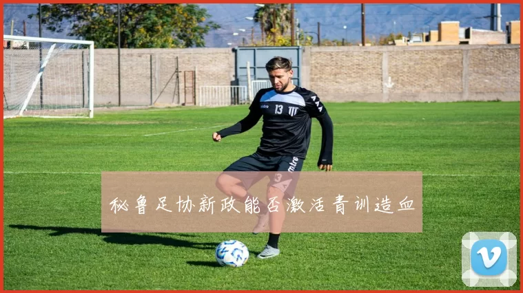 秘鲁足协新政能否激活青训造血